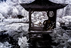 15123_Fotograf_Kim Møller Andersen_The Japanese garden_B_